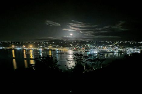Photo of property in 9 Glengyle Street, Vauxhall, Dunedin, 9013