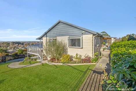 Photo of property in 23 Darby Street, Geraldine, 7930