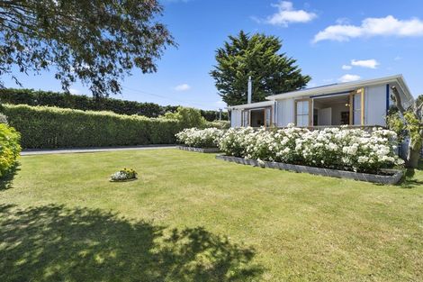 Photo of property in 54 Princess Street, Martinborough, 5711