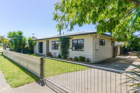 Photo of property in 205 Avondale Road, Greenmeadows, Napier, 4112