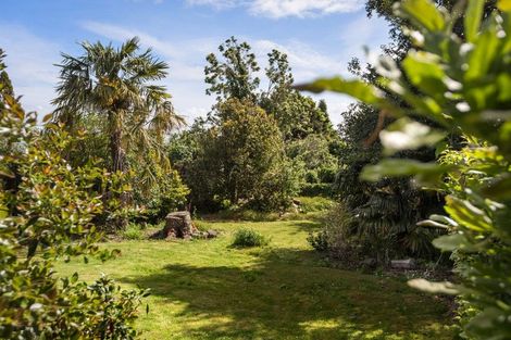 Photo of property in 38 Towers Street, Paeroa, 3600