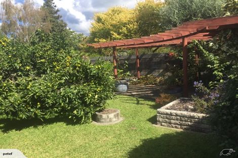 Photo of property in 17 Norrie Street, Te Puke, 3119