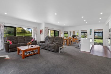 Photo of property in 136b Kumikumi Road, Lower Kaimai, Tauranga, 3171