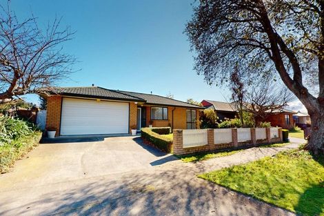 Photo of property in 78 Amberley Avenue, Highbury, Palmerston North, 4412