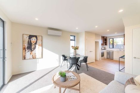 Photo of property in 16b Champion Street, Edgeware, Christchurch, 8013