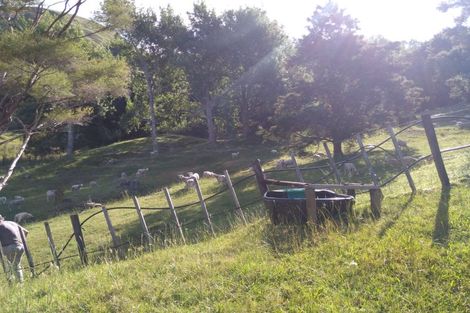Photo of property in 910 Tangihua Road, Maungakaramea, Whangarei, 0178