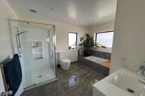 Photo of property in 224 No 4 Road, Te Puke, 3183