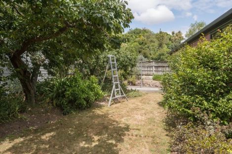 Photo of property in 295 Hill Street, Richmond, 7020