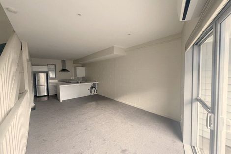Photo of property in 3ul Papawai Terrace, Mount Cook, Wellington, 6021