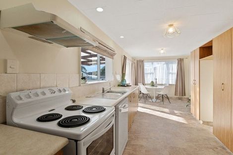 Photo of property in 45 Winchester Street, Levin, 5510