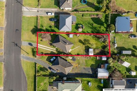 Photo of property in 38 Marchant Street, Putaruru, 3411