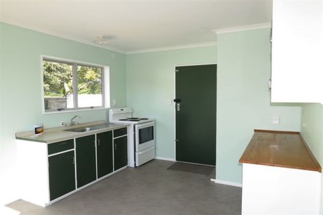 Photo of property in 13 Strathmore Avenue, Levin, 5510