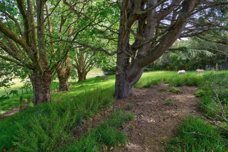 Photo of property in 215a No 3 Line, Whanganui East, Whanganui, 4582