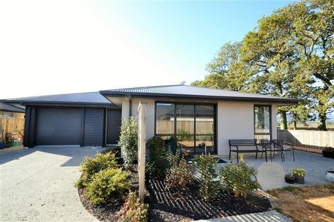 Photo of property in 59 Malone Crescent, Richmond, 7020