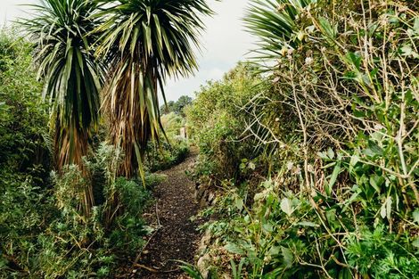 Photo of property in 8 Cove Street, Roseneath, Port Chalmers, 9023