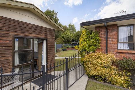 Photo of property in 17 Morrington Terrace, Witherlea, Blenheim, 7201