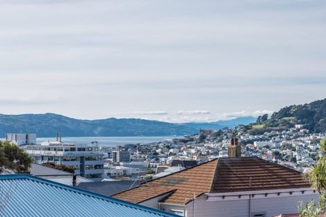 Photo of property in 48b Wright Street, Mount Cook, Wellington, 6021