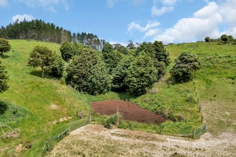 Photo of property in 2568e Paparoa-oakleigh Road, Paparoa, 0571