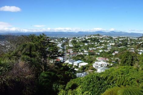 Photo of property in 135 Mitchell Street, Brooklyn, Wellington, 6021