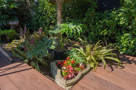 Photo of property in 8 Petrel Close, Paraparaumu Beach, Paraparaumu, 5032