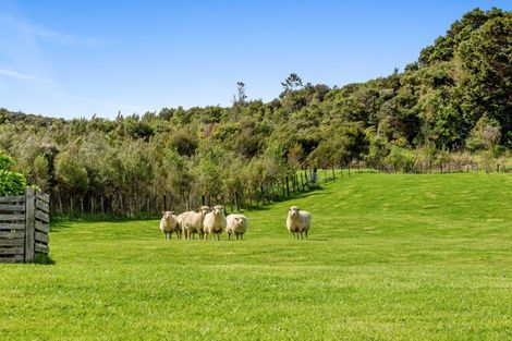 Photo of property in 1166 Weranui Road, Wainui, Silverdale, 0994