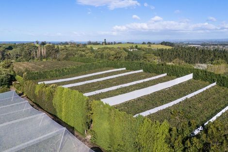 Photo of property in 416 State Highway 2, Tahawai, Katikati, 3170