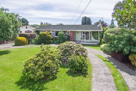 Photo of property in 12 Chamberlain Road, Masterton, 5810