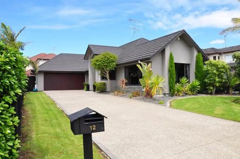 Photo of property in 12 Kalmore Place, Flat Bush, Auckland, 2016