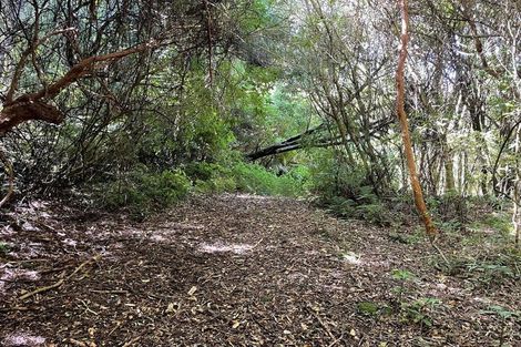 Photo of property in 28 Patmos Avenue, Woodhaugh, Dunedin, 9010