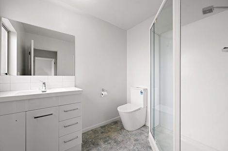 Photo of property in 28a Maitland Street, Frankton, Hamilton, 3204