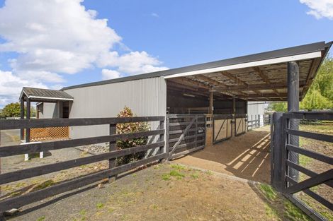 Photo of property in 127 Peake Road, Cambridge, 3493