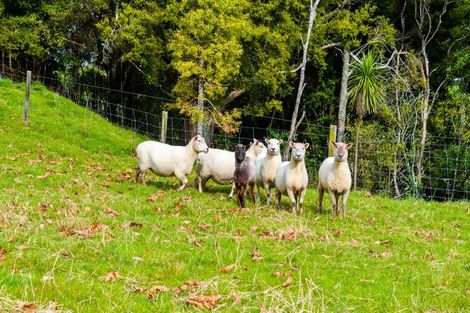 Photo of property in 50 Waitoki Road, Waitoki, Kaukapakapa, 0871