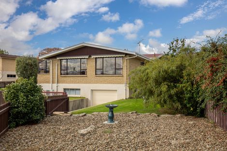 Photo of property in 17 Fox Street, Alexandra, 9320