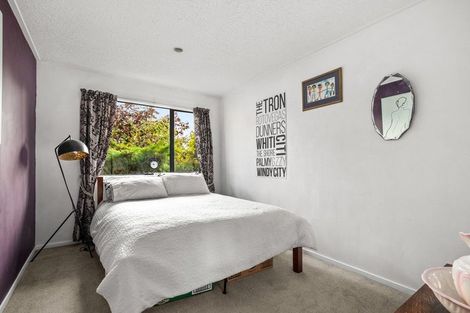 Photo of property in 12 Hawick Street, Roxburgh, 9500
