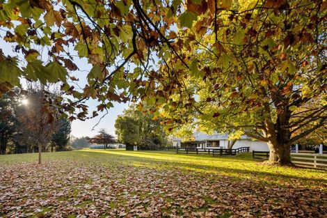 Photo of property in 1786 Cambridge Road, Cambridge, Hamilton, 3283