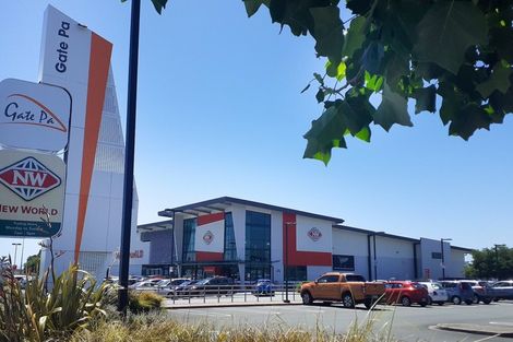 Photo of property in 19 Rimu Street, Gate Pa, Tauranga, 3112