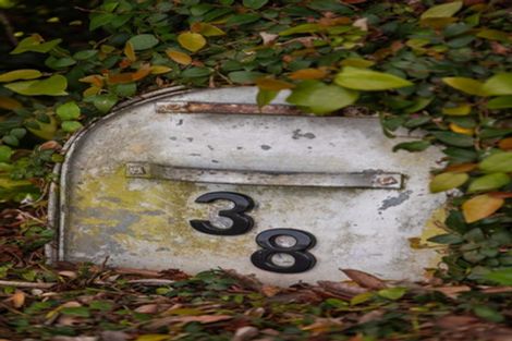 Photo of property in 38 Towers Street, Paeroa, 3600