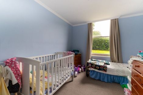 Photo of property in 36 College Street, Caversham, Dunedin, 9012