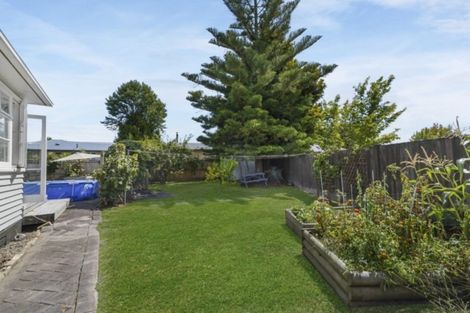 Photo of property in 14 Watts Crescent, Hamilton East, Hamilton, 3216
