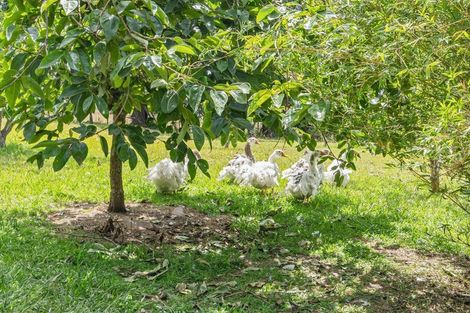Photo of property in 726 Puketitoi Road, Titoki, Whangarei, 0172