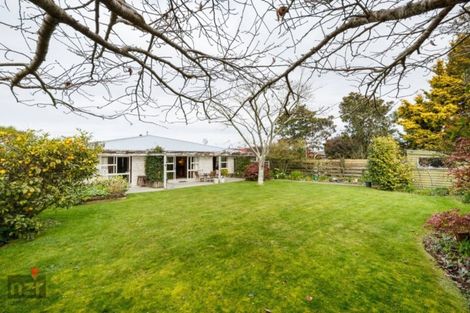 Photo of property in 26 Fiona Crescent, Feilding, 4702