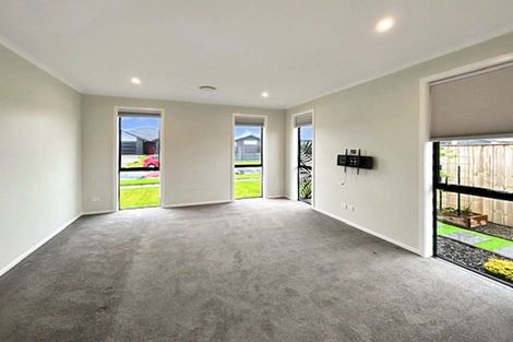 Photo of property in 62 Accolade Street, Feilding, 4702