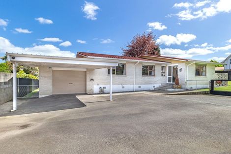 Photo of property in 97a Weraroa Road, Levin, 5510