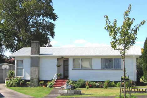 Photo of property in 9 Denyer Place, New Lynn, Auckland, 0600