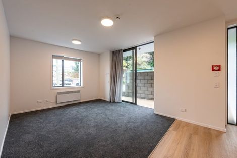 Photo of property in 43b Tasman Street, Mount Cook, Wellington, 6021