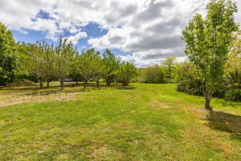 Photo of property in 87b Ongaonga Road, Waipawa, 4272