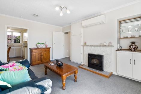 Photo of property in 3 Athol Place, Ravensbourne, Dunedin, 9022
