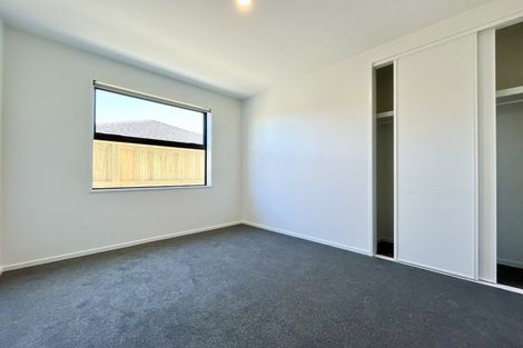 Photo of property in 17 Larch Drive, Rolleston, 7614