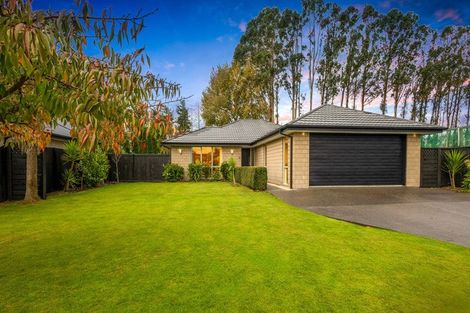 Photo of property in 41 Platform Way, Prebbleton, 7604