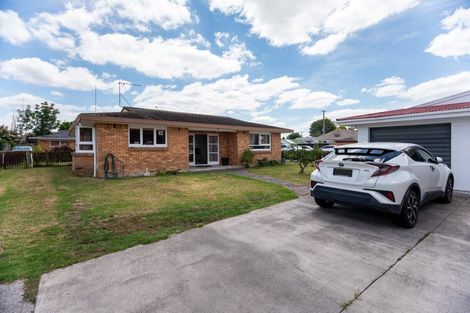 Photo of property in 95a Fifth Avenue, Enderley, Hamilton, 3214